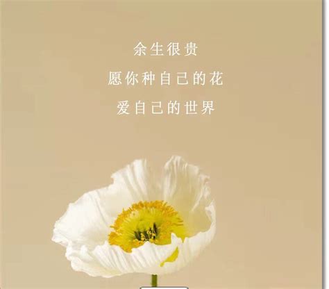 最能代表自己的花